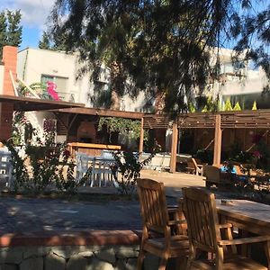 Meggs Bodrum Beach Restaurant & Hotel